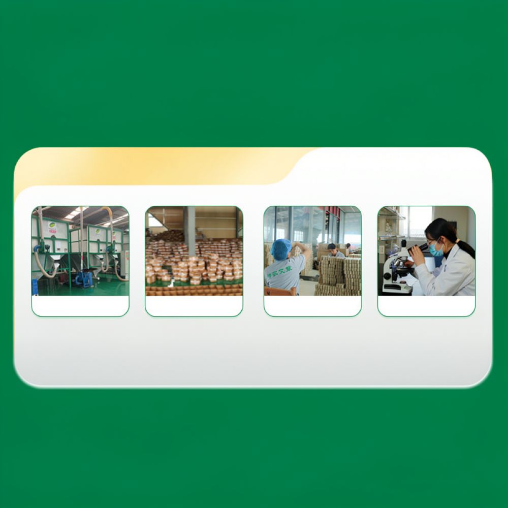 煙が出ない炭化モクサ棒。神農薬草配合のヨモギマッサージ棒。全 - Therapy Health And Wellness のレビューと価格