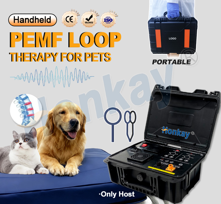 ペット用PEMFデバイスループ 犬の健康維持 猫のボディマッ - Therapy Health And Wellness のレビューと価格
