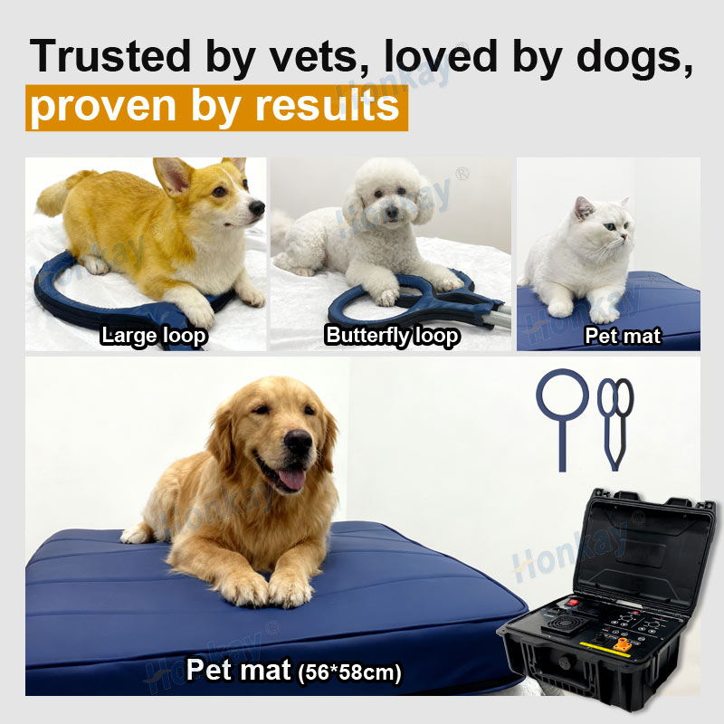 ペット用PEMFデバイスループ 犬の健康維持 猫のボディマッ - Therapy Health And Wellness のレビューと価格